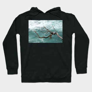 Bare, textured branch in front of green sea. Hoodie